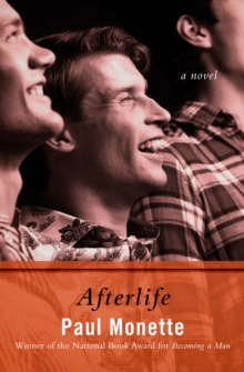 Image for Afterlife: A Novel
