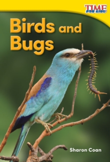 Image for Birds and bugs