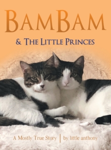 Image for Bambam & the Little Princes : A Mostly True Story