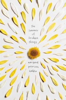 Summer of Broken Things