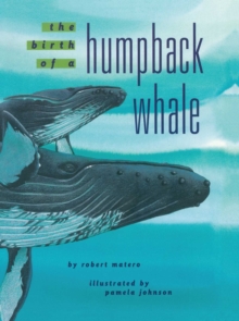 Image for The Birth of a Humpback Whale
