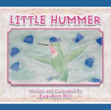Image for Little Hummer