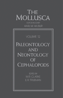 Image for Paleontology and Neontology of Cephalopods