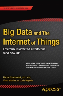 Image for Big data and the internet of things: enterprise information architecture for a new age