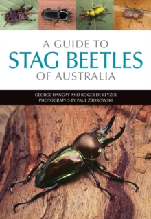 Guide to Stag Beetles of Australia
