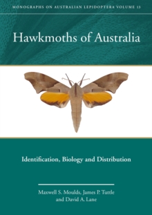 Image for Hawkmoths of Australia: Identification, Biology and Distribution