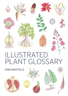 Image for Illustrated Plant Glossary