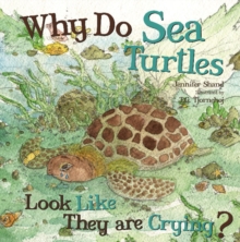 Image for Why Do Sea Turtles Look Like They are Crying?