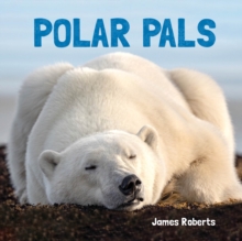 Image for Polar Pals