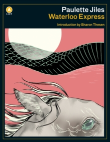 Image for Waterloo Express