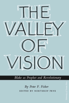 Image for The Valley of Vision : Blake as Prophet and Revolutionary