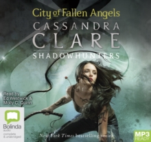 Image for City of Fallen Angels