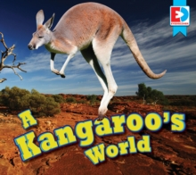 Image for A kangaroo's world