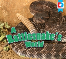 Image for A rattlesnake's world
