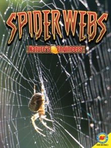 Image for Spiderwebs
