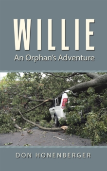 Image for Willie: An Orphan's Adventure