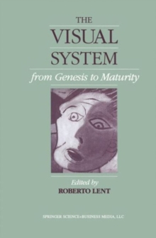 Image for Visual System from Genesis to Maturity.