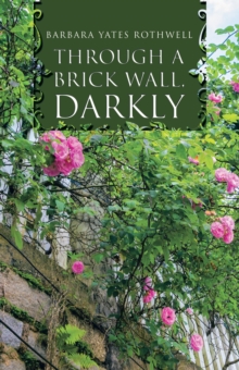 Image for Through a Brick Wall, Darkly