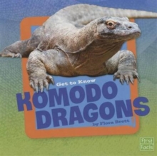 Get to Know Komodo Dragons (Get to Know Reptiles)