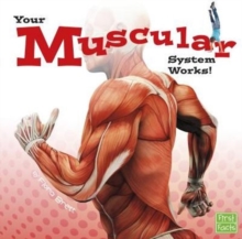 Image for Your Muscular System Works (Your Body Systems)