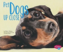 Image for Pet Dogs Up Close