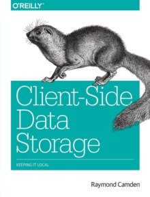 Client-Side Data Storage