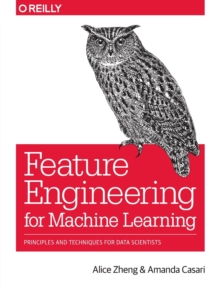 Image for Mastering feature engineering  : principles and techniques for data scientists