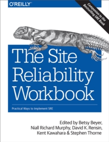 Image for The site reliability workbook: practical ways to implement SRE