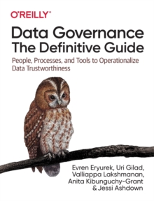 Image for Data Governance: The Definitive Guide