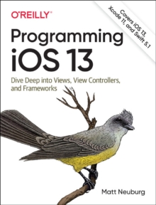 Image for Programming iOS 13  : dive deep into view, view controllers, and frameworks