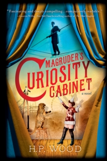 Image for Magruder's Curiosity Cabinet: a novel