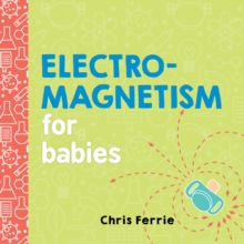 Image for Electromagnetism for babies