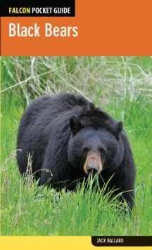 Image for Black bears