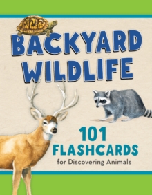 Image for Backyard Wildlife : 101 Flashcards for Discovering Animals