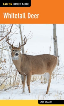 Image for Whitetail Deer
