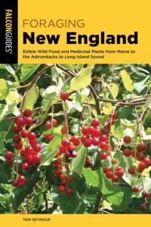 Image for Foraging New England: Edible Wild Food and Medicinal Plants from Maine to the Adirondacks to Long Island Sound