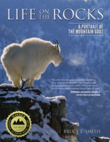 Image for Life on the rocks  : a portrait of the mountain goat