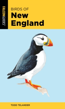 Birds of New England