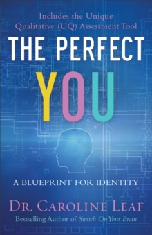 Image for The perfect you: a blueprint for identity