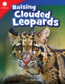 Image for Raising Clouded leopards