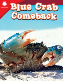 Image for Blue crab comeback