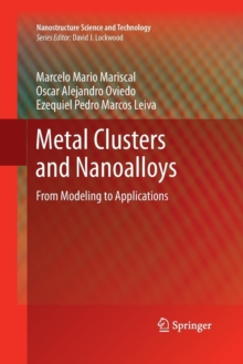 Image for Metal Clusters and Nanoalloys