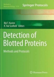 Image for Detection of Blotted Proteins : Methods and Protocols