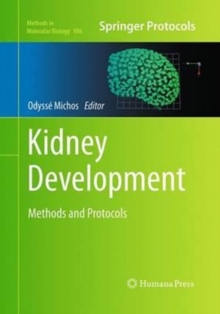 Image for Kidney Development : Methods and Protocols