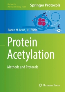 Image for Protein Acetylation : Methods and Protocols