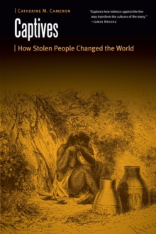 Image for Captives  : how stolen people changed the world