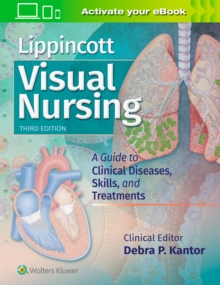 Image for Lippincott visual nursing  : a guide to diseases, skills, and treatments