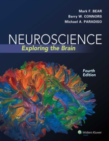 Image for Bear's 4e Neuroscience Text plus PrepU Package