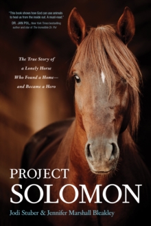 Image for Project Solomon: the true story of a lonely horse who found a home - and became a hero