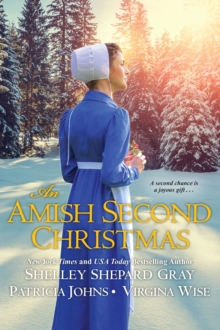 Image for An Amish second Christmas